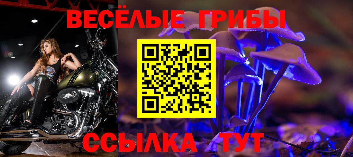 Галлюциногенные грибы ЛСД  Вход с VPN  Мурино  Галлюциногенные грибы Psilocybine cubensis 