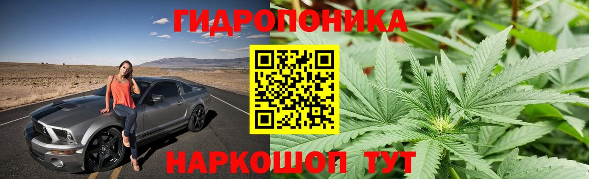 Каннабис VHQ Мурино